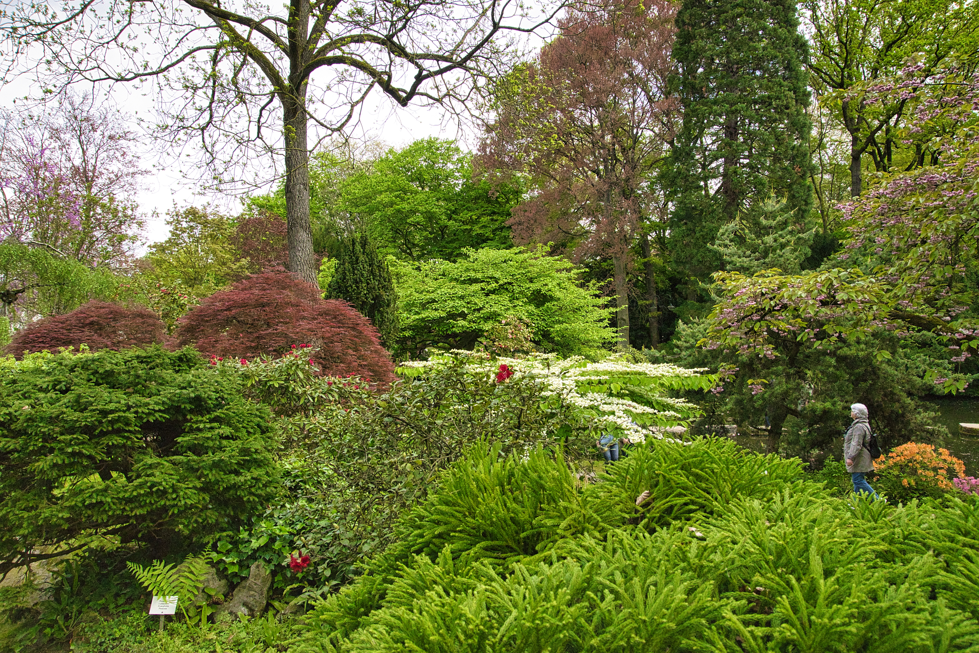 JapGartenLeverkusen 4